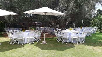 כסאות נפוליאון