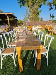 שולחן שוק וכסאות איקס לבן נטועה