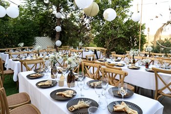 כסאות קרוס טבעי אירע רמלה 1