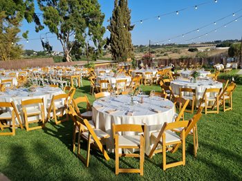 כסא מתקפל טבעי חתונה נטועה