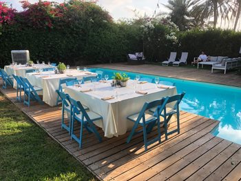 כסאות תכלת אסוף 2.