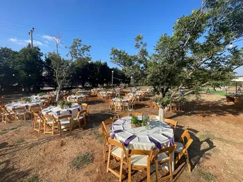 כיסא עץ מתקפל טבעי