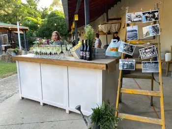 מזנון לבן-פלטת עץ